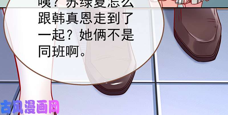 万渣朝凰联手