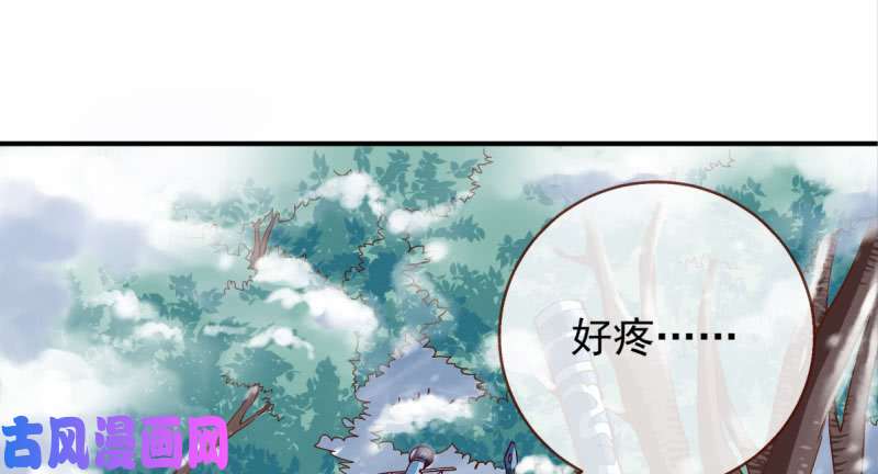 万渣朝凰悲情小师妹 在线吃便当