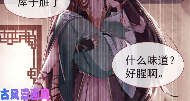 万渣朝凰不要叫我师兄