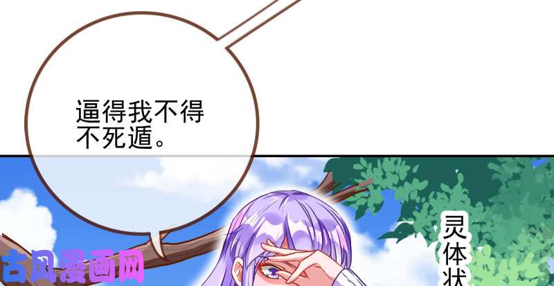 万渣朝凰机关算尽太聪明