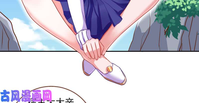 万渣朝凰机关算尽太聪明