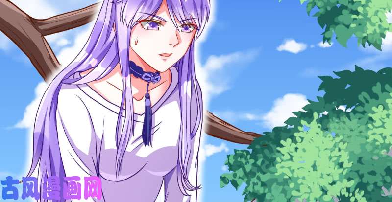 万渣朝凰机关算尽太聪明