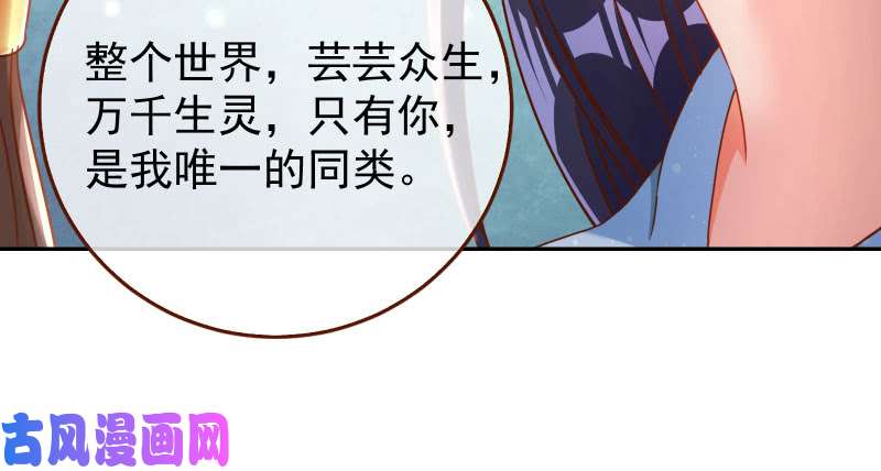 万渣朝凰机关算尽太聪明