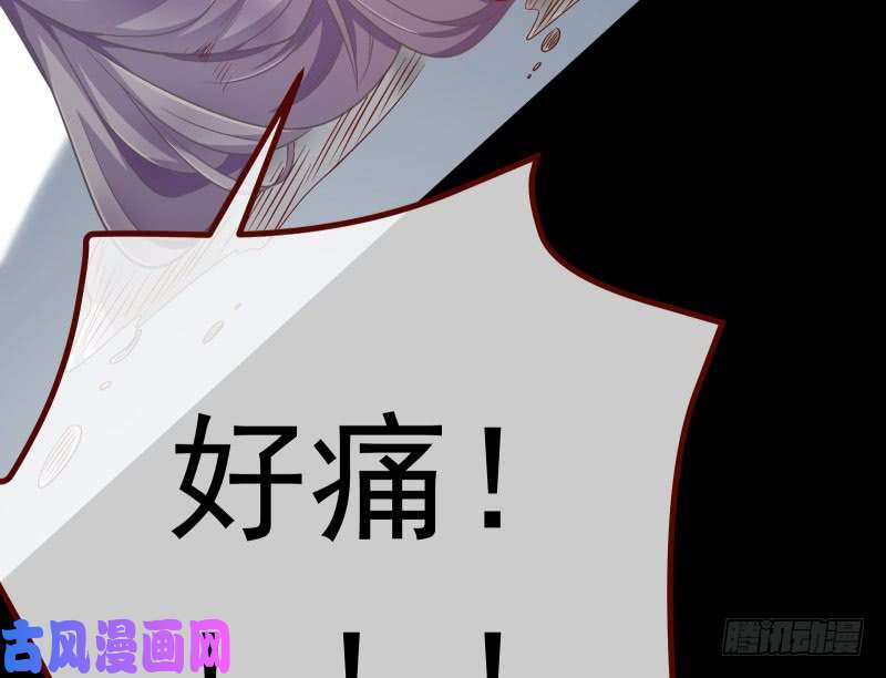 万渣朝凰前尘