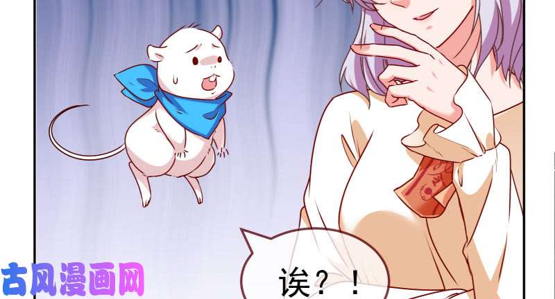 万渣朝凰求情