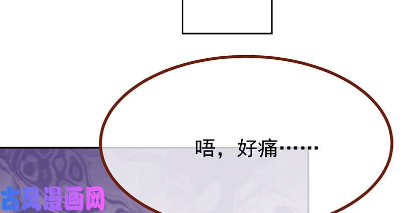 万渣朝凰追查