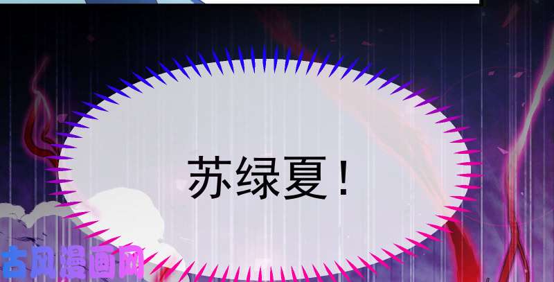 万渣朝凰我是苏绿夏