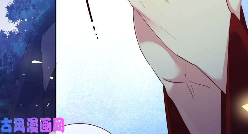 万渣朝凰倒计时