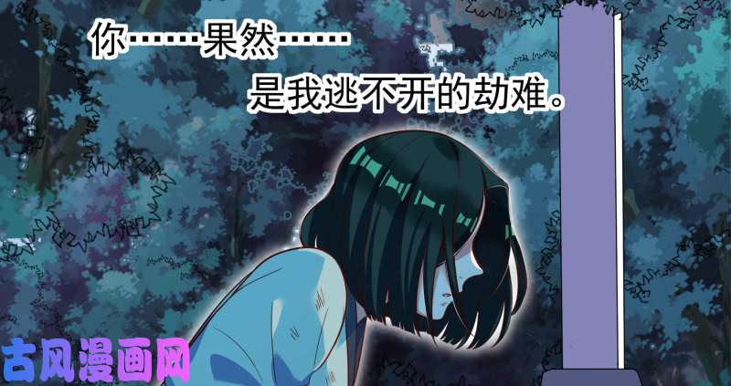 万渣朝凰倒计时