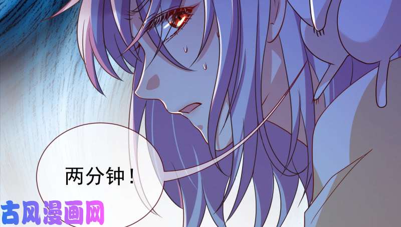 万渣朝凰倒计时