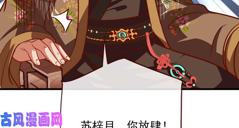 万渣朝凰当场退婚