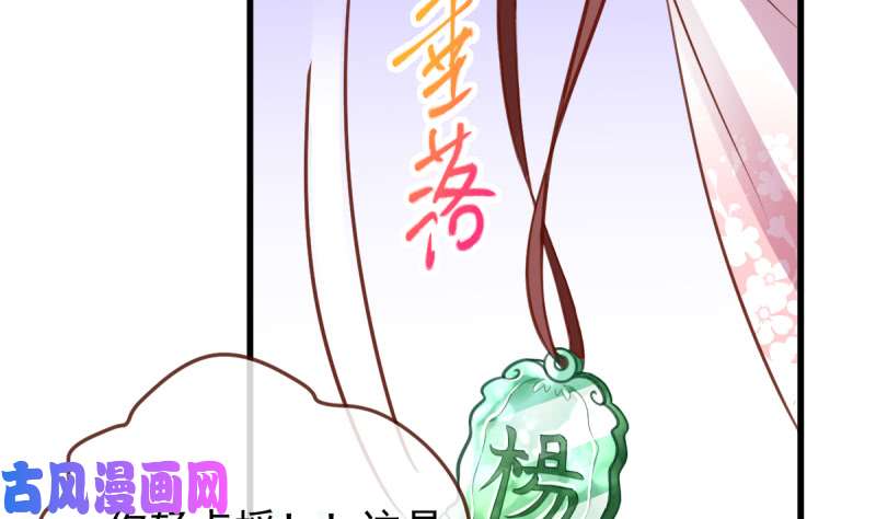万渣朝凰不配穿红衣