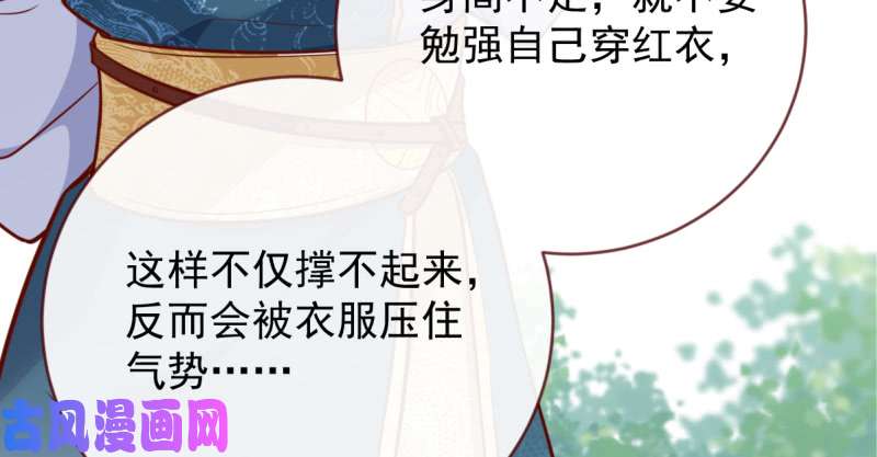 万渣朝凰不配穿红衣