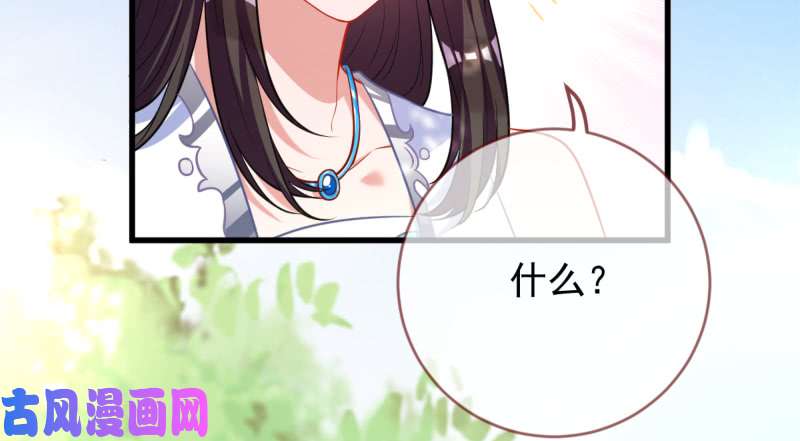 万渣朝凰不配穿红衣