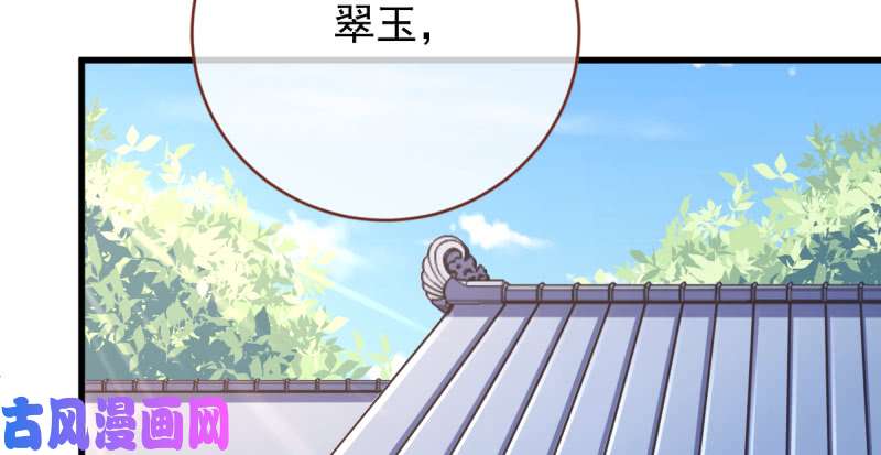 万渣朝凰不配穿红衣