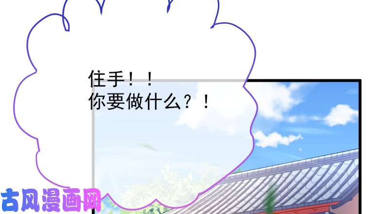 万渣朝凰不配穿红衣