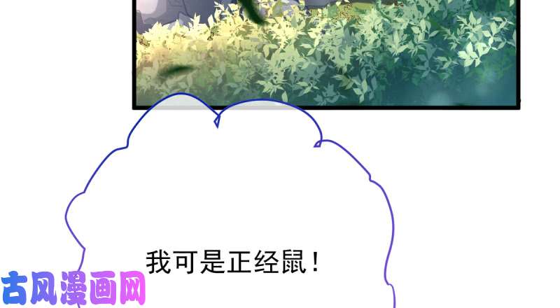 万渣朝凰不配穿红衣