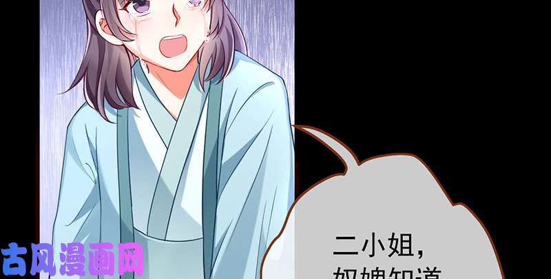 万渣朝凰恶人先告状