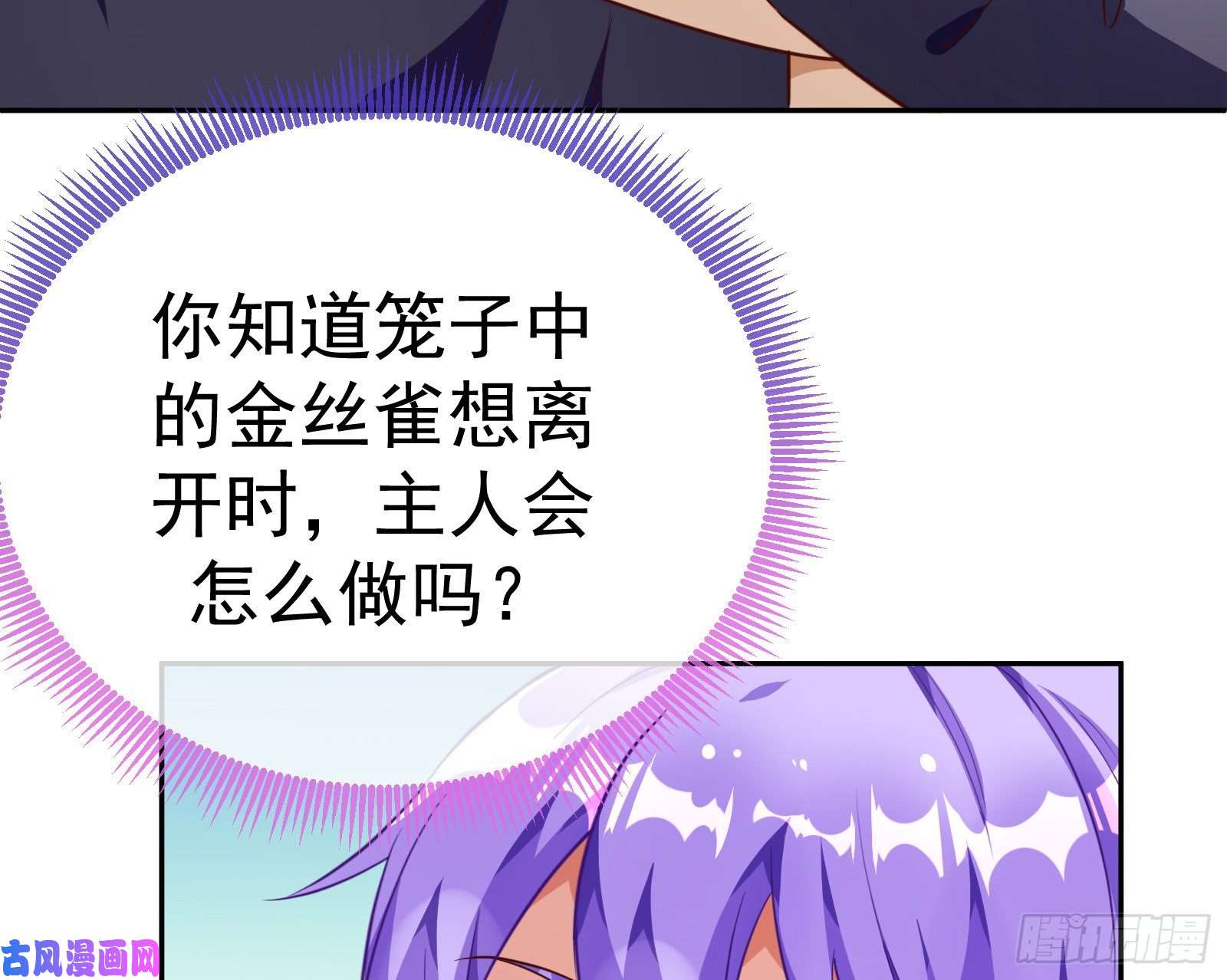 万渣朝凰惊艳圆场