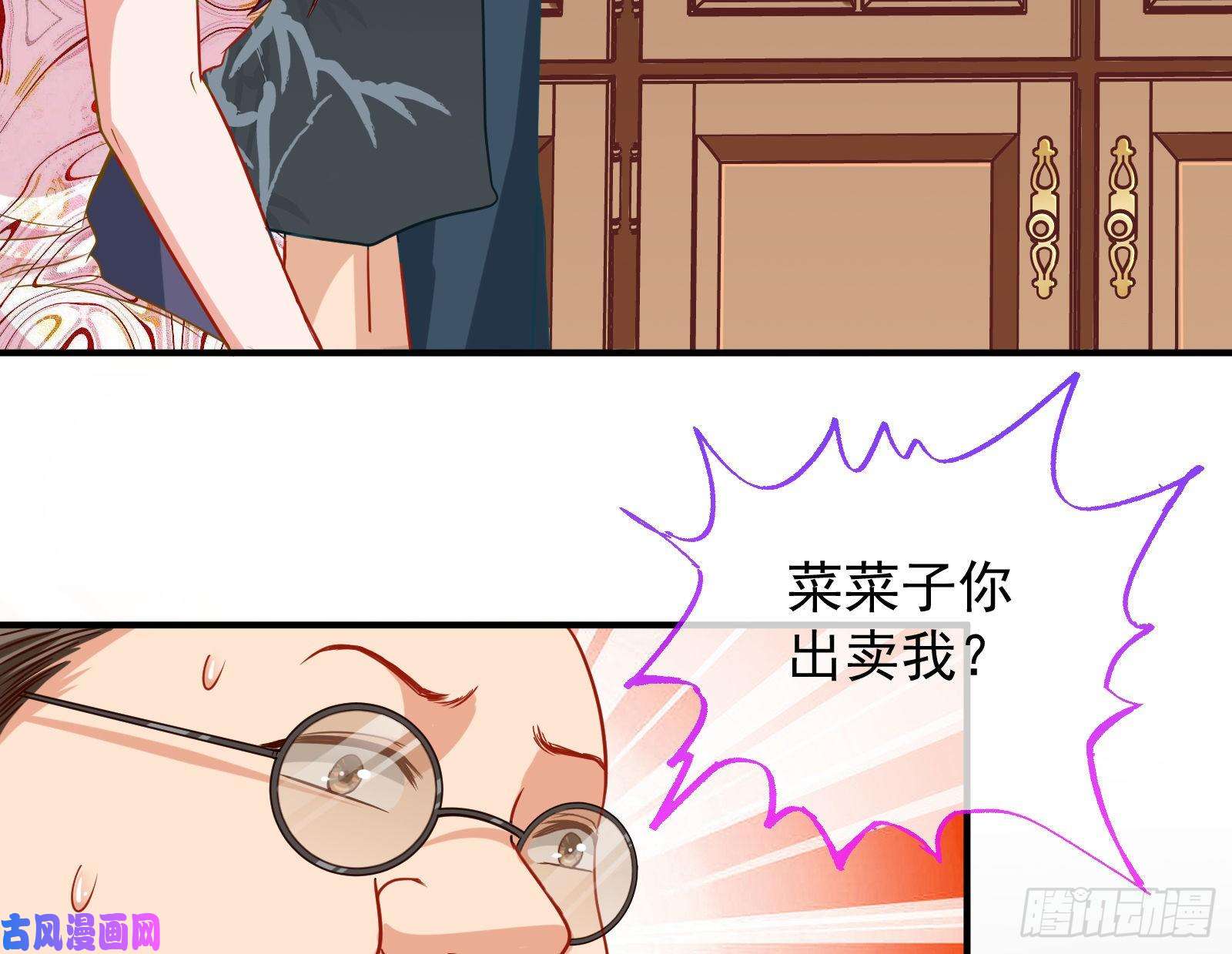 万渣朝凰解锁少主
