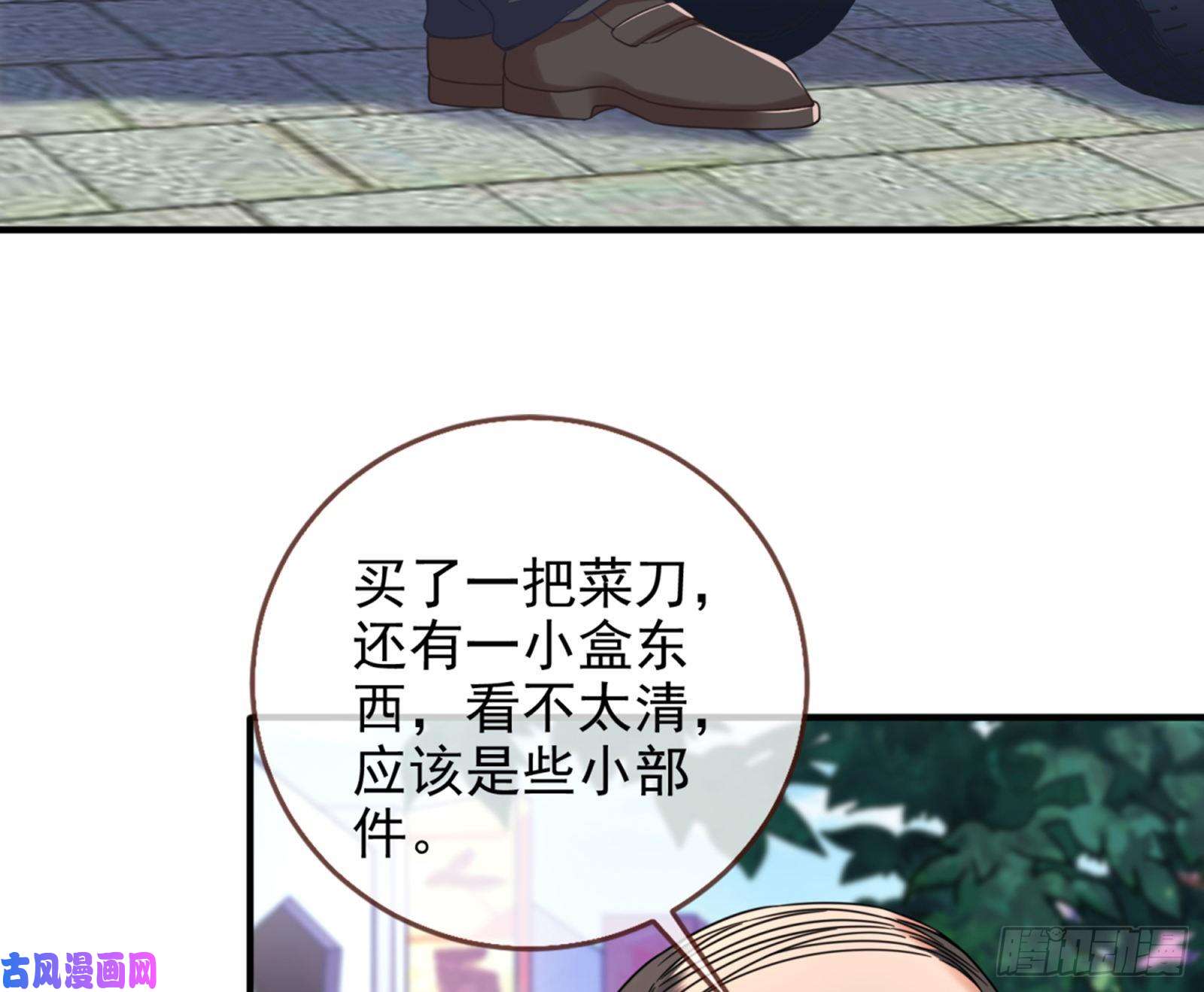 万渣朝凰被监视
