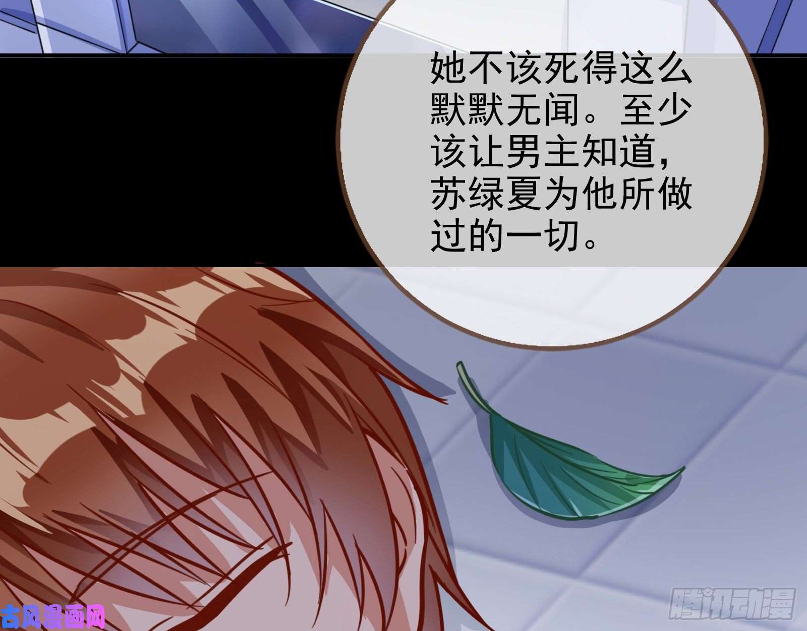 万渣朝凰苏绿夏的记忆