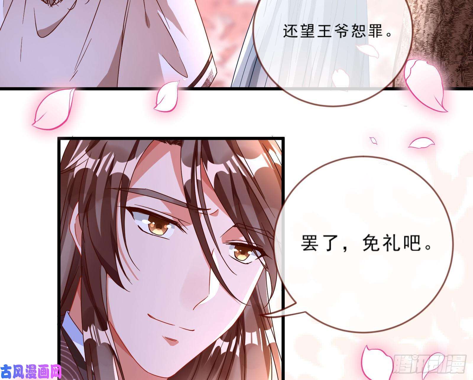 万渣朝凰玄影谷传人