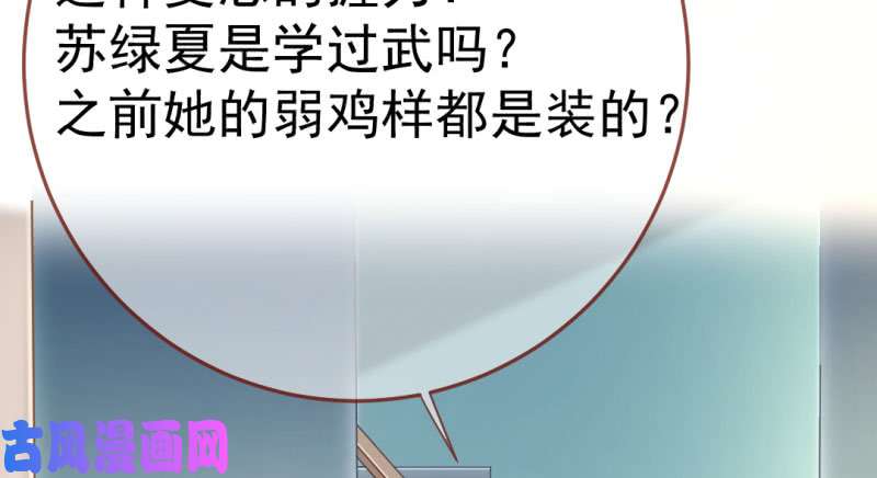 万渣朝凰武力值爆表