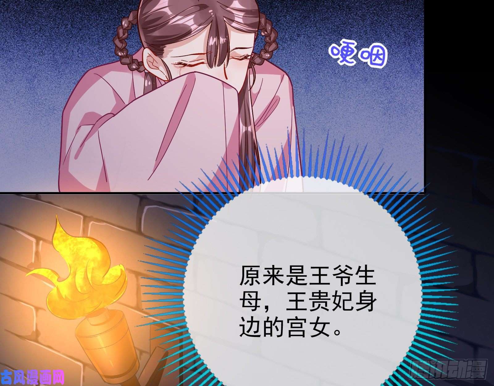 万渣朝凰宫女芍药