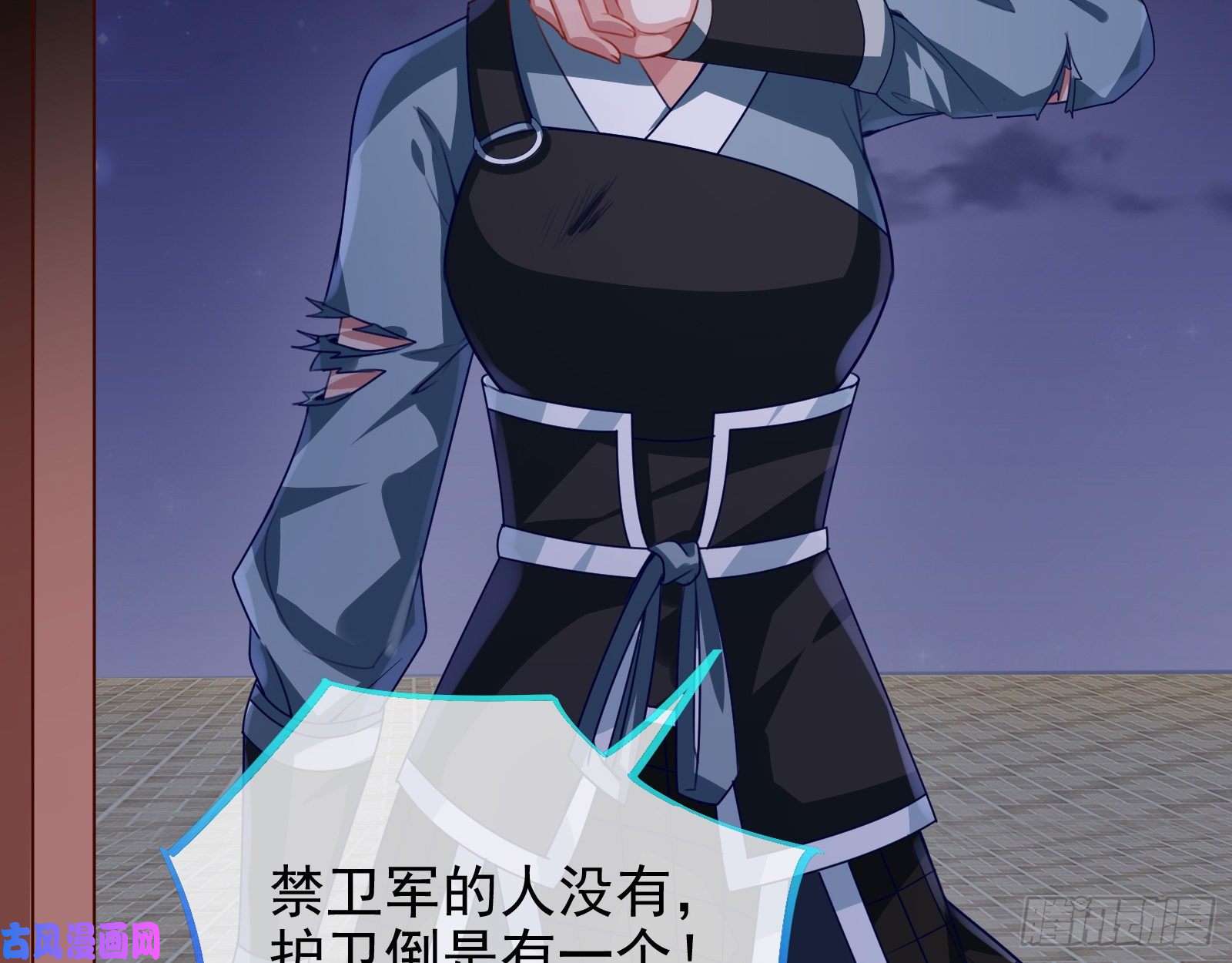 万渣朝凰苏护卫在此