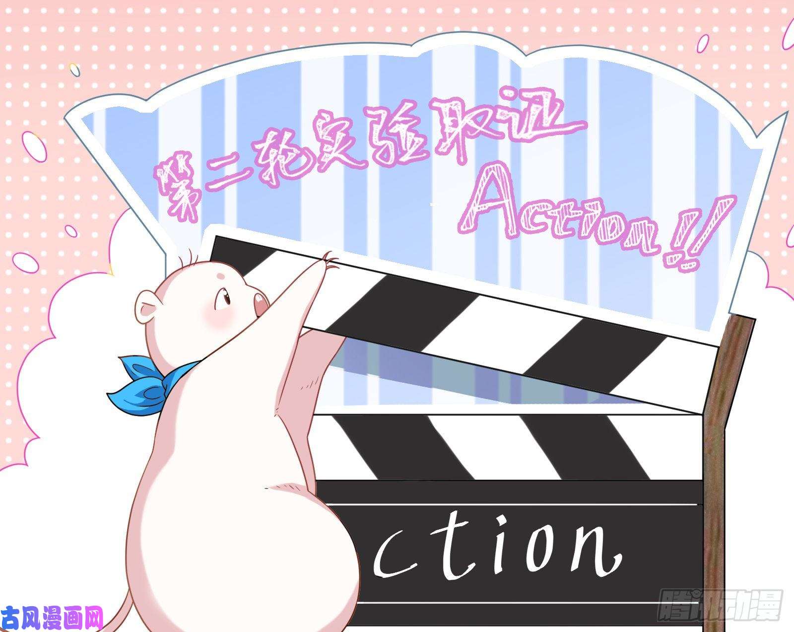 万渣朝凰夜袭总裁
