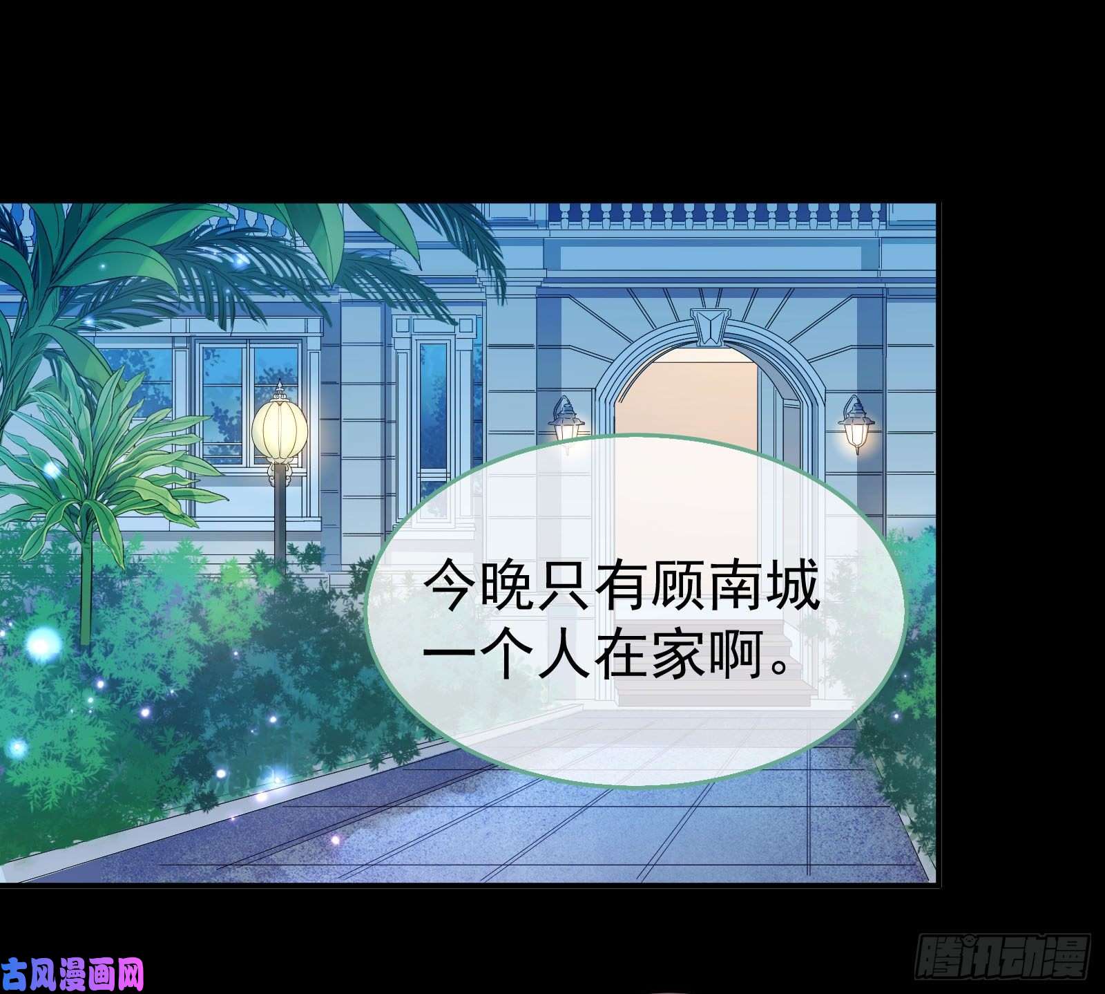 万渣朝凰夜袭总裁