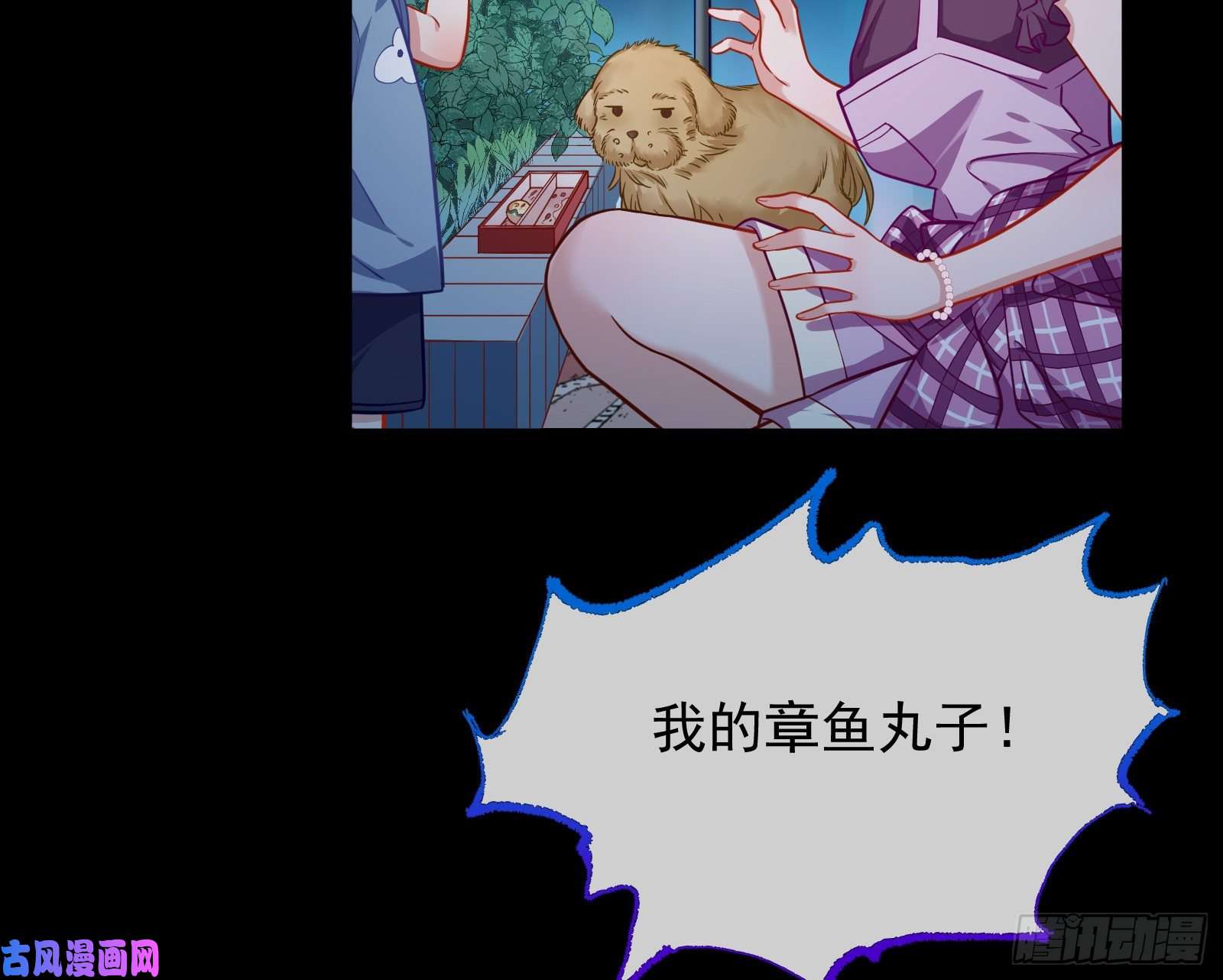 万渣朝凰有钱人的夜生活