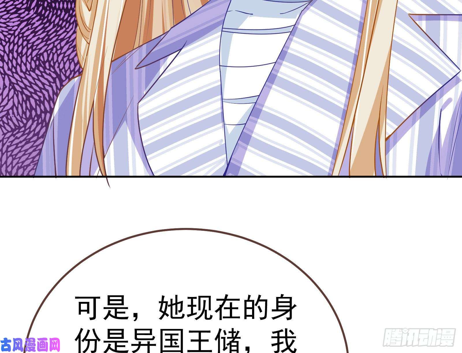 万渣朝凰遗落的王储