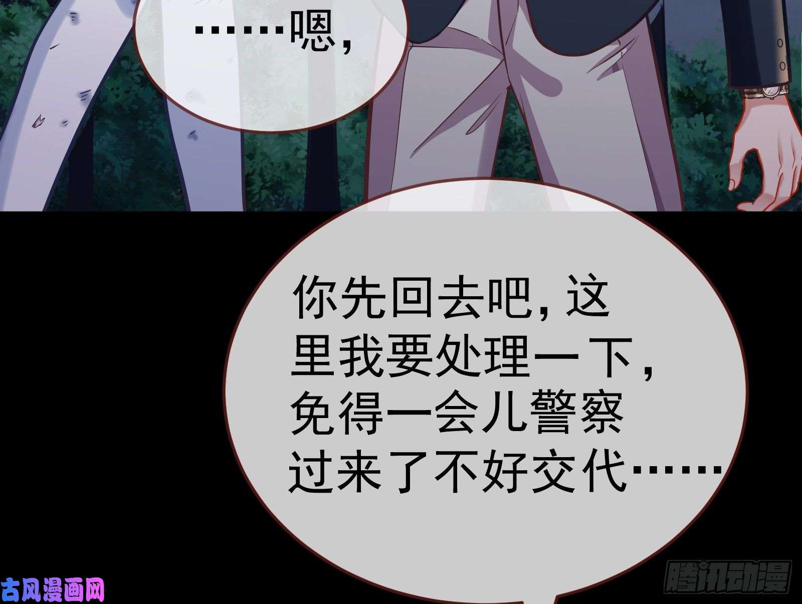 万渣朝凰遗落的王储