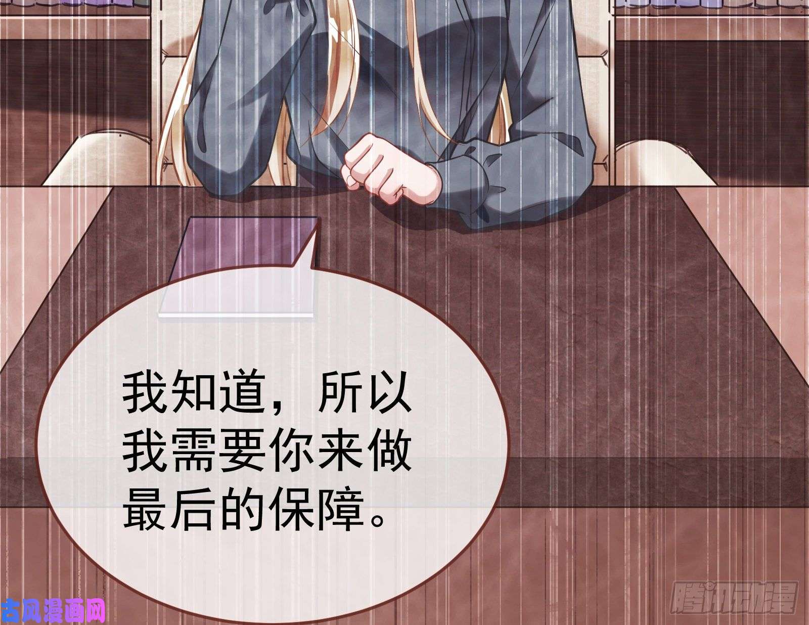 万渣朝凰遗落的王储