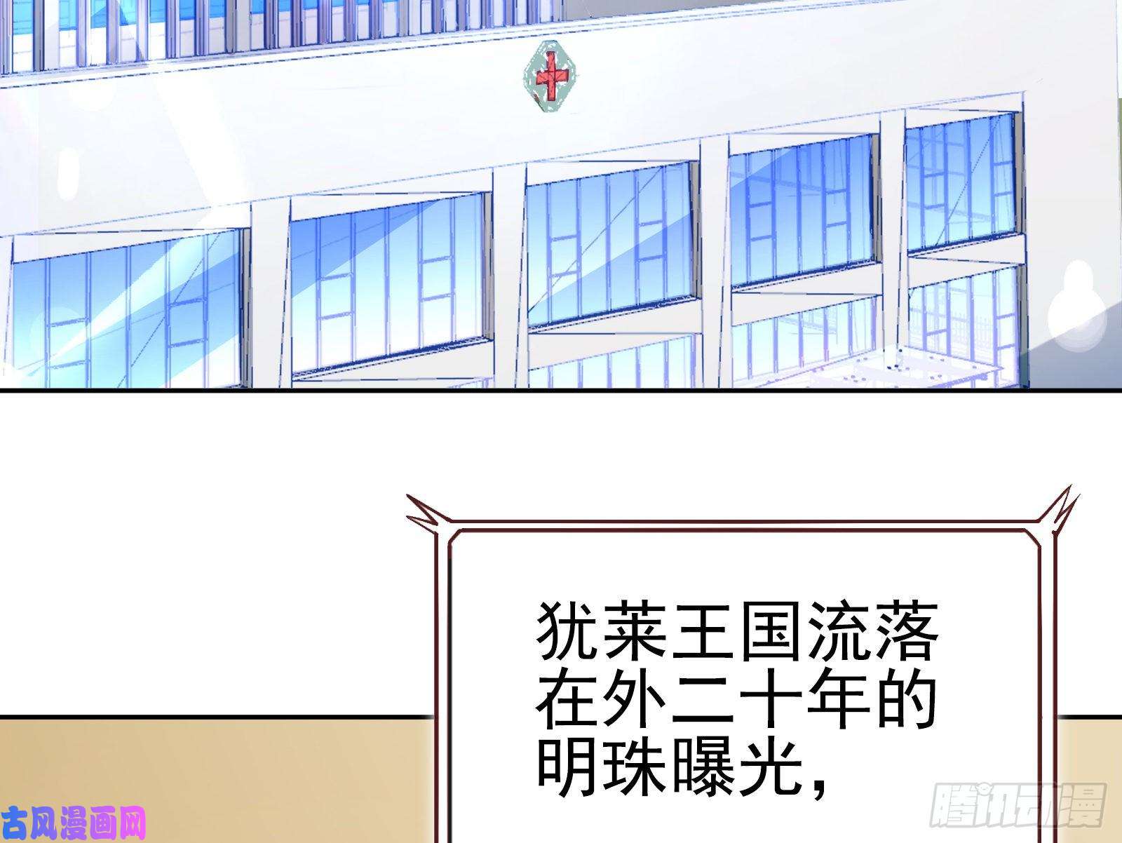万渣朝凰遗落的王储