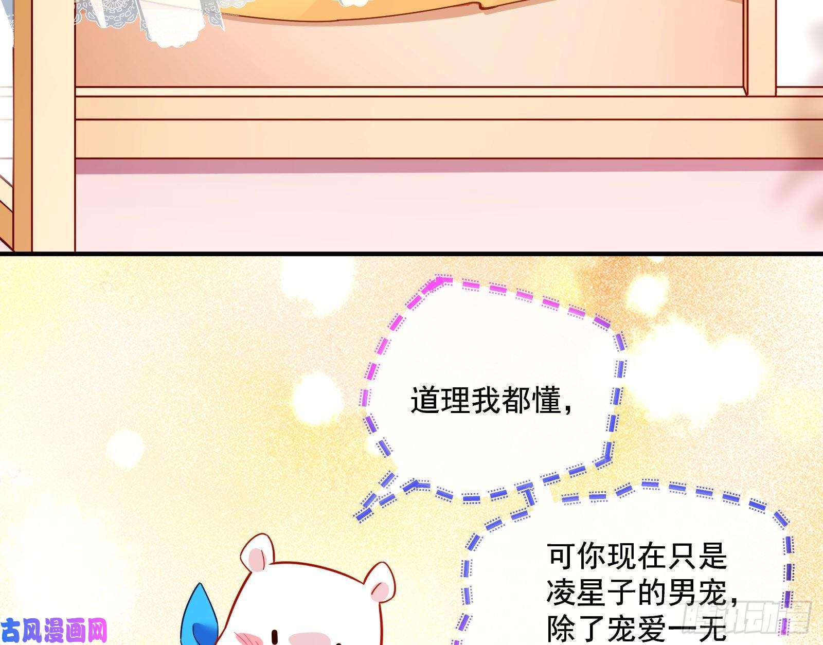 万渣朝凰除了宠爱一无所有