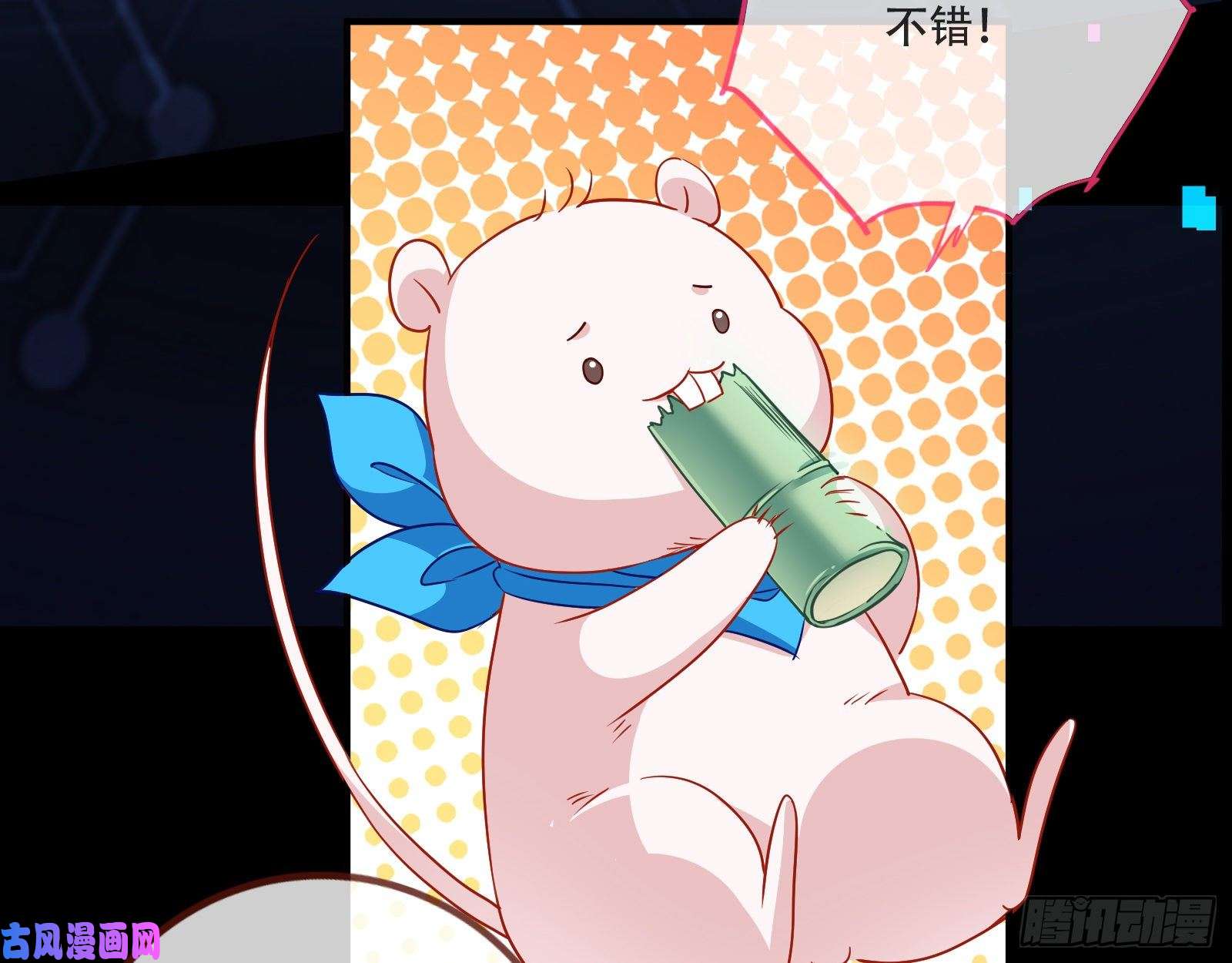 万渣朝凰新婚之夜