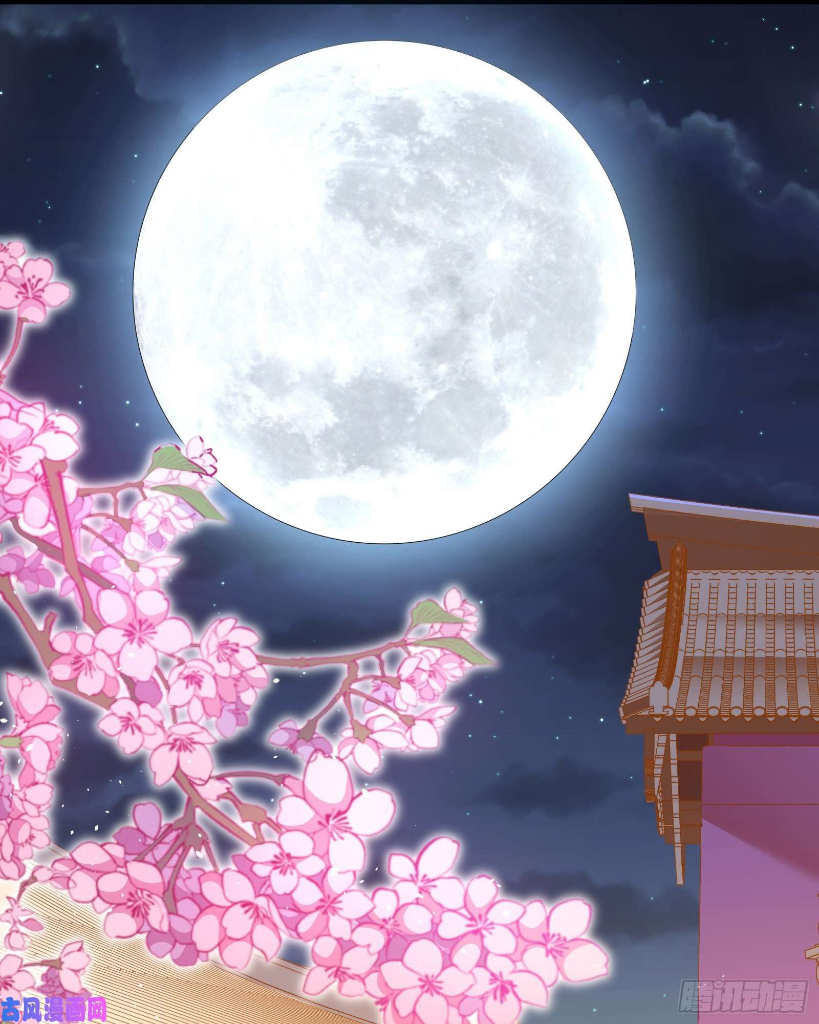 万渣朝凰新婚之夜