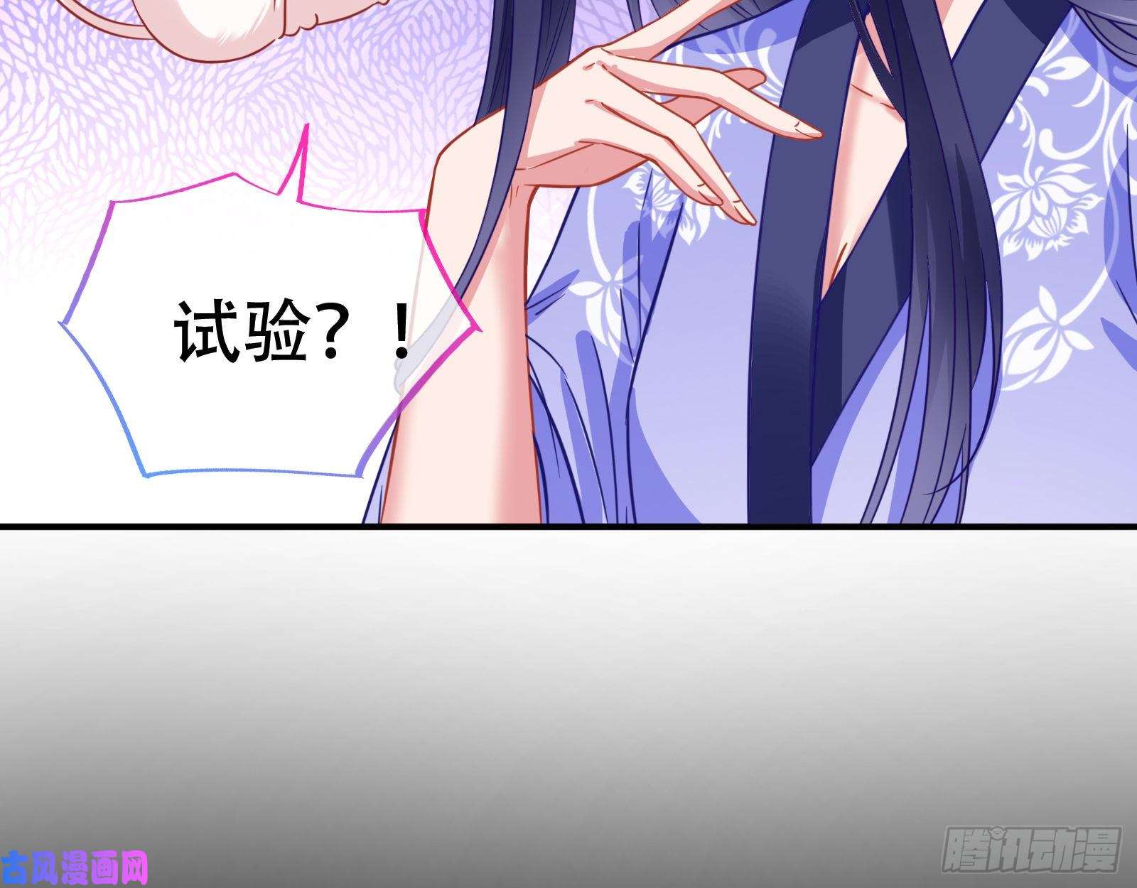 万渣朝凰试验