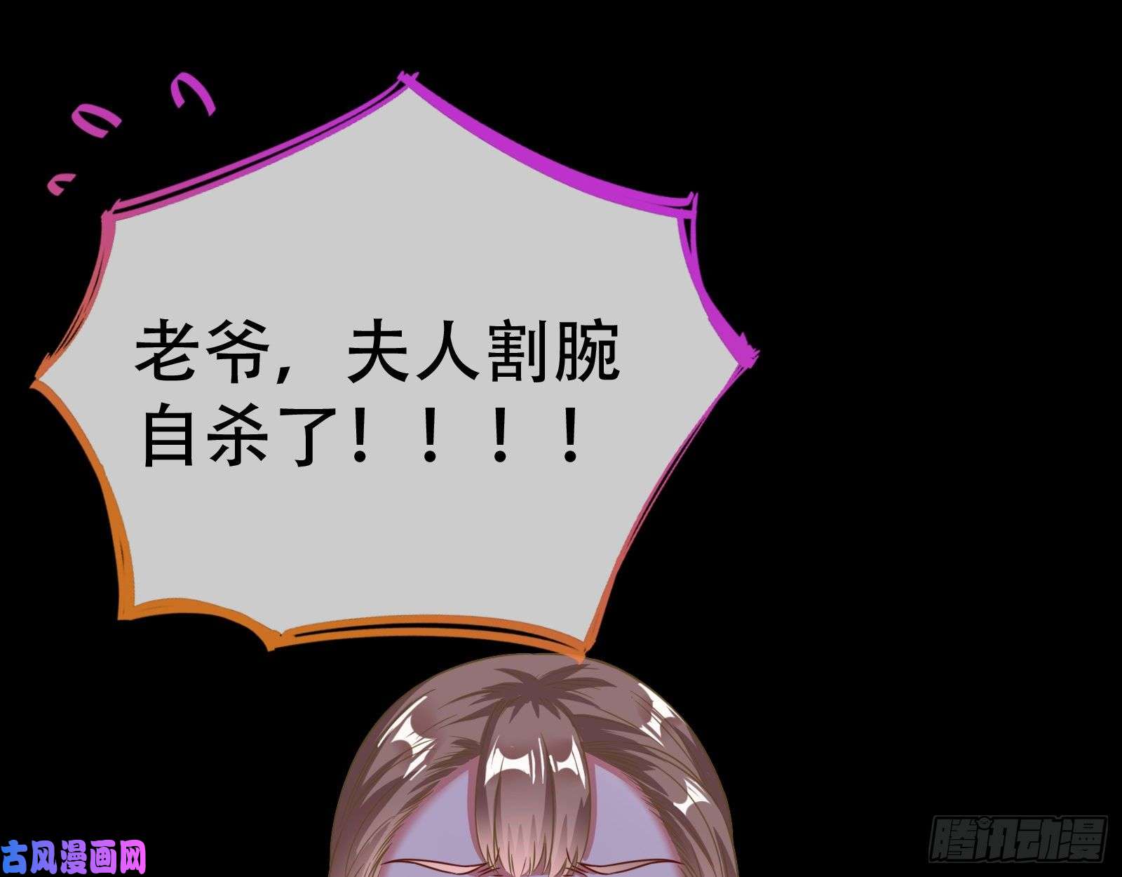 万渣朝凰试验