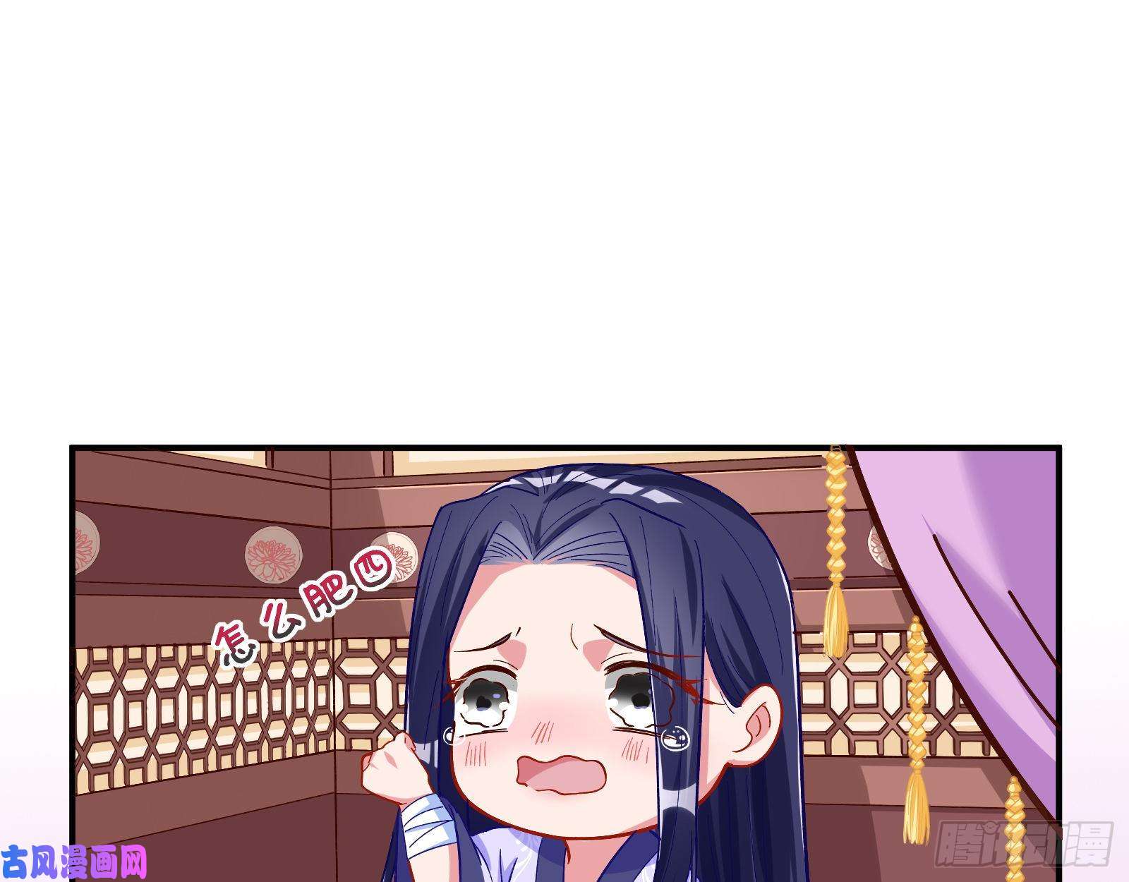 万渣朝凰试验