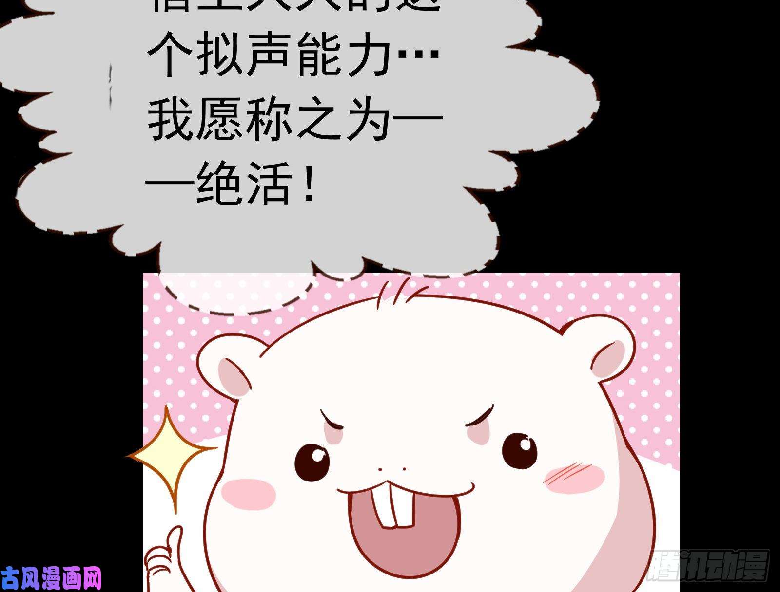 万渣朝凰娘道