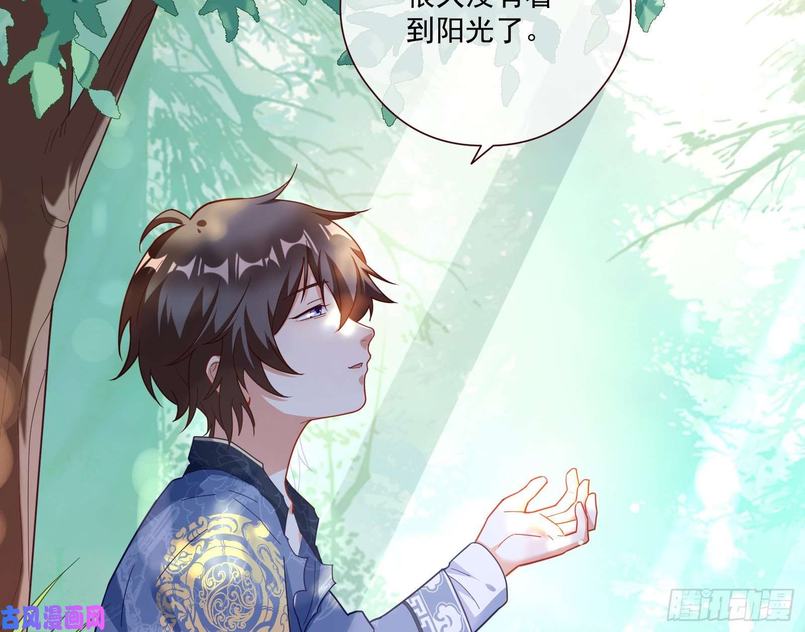 万渣朝凰病弱土豪