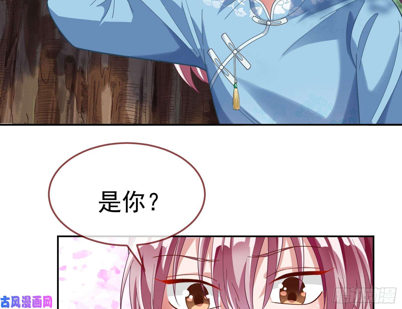 万渣朝凰生日宴会