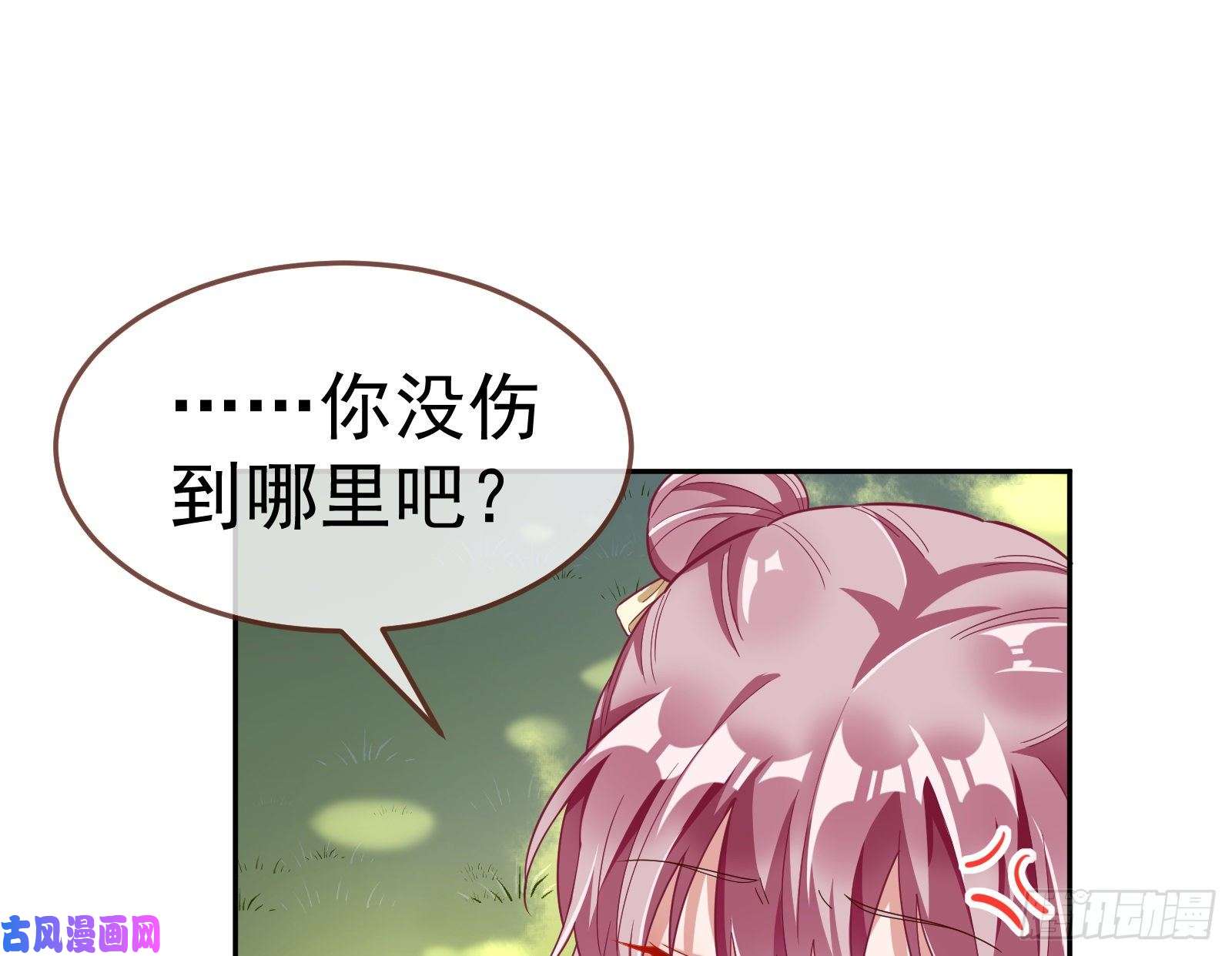 万渣朝凰生日宴会