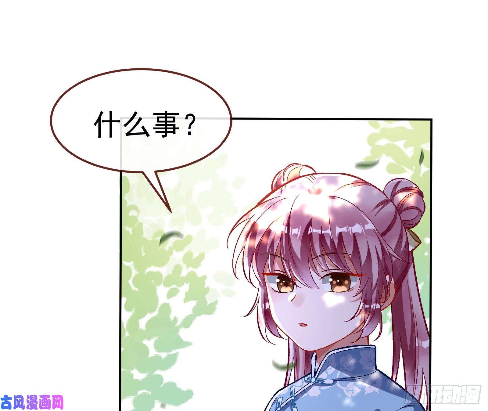 万渣朝凰生日宴会