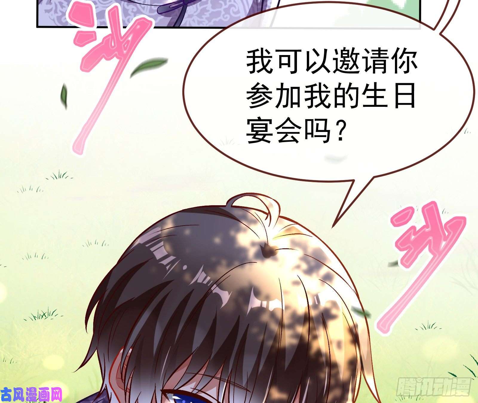 万渣朝凰生日宴会
