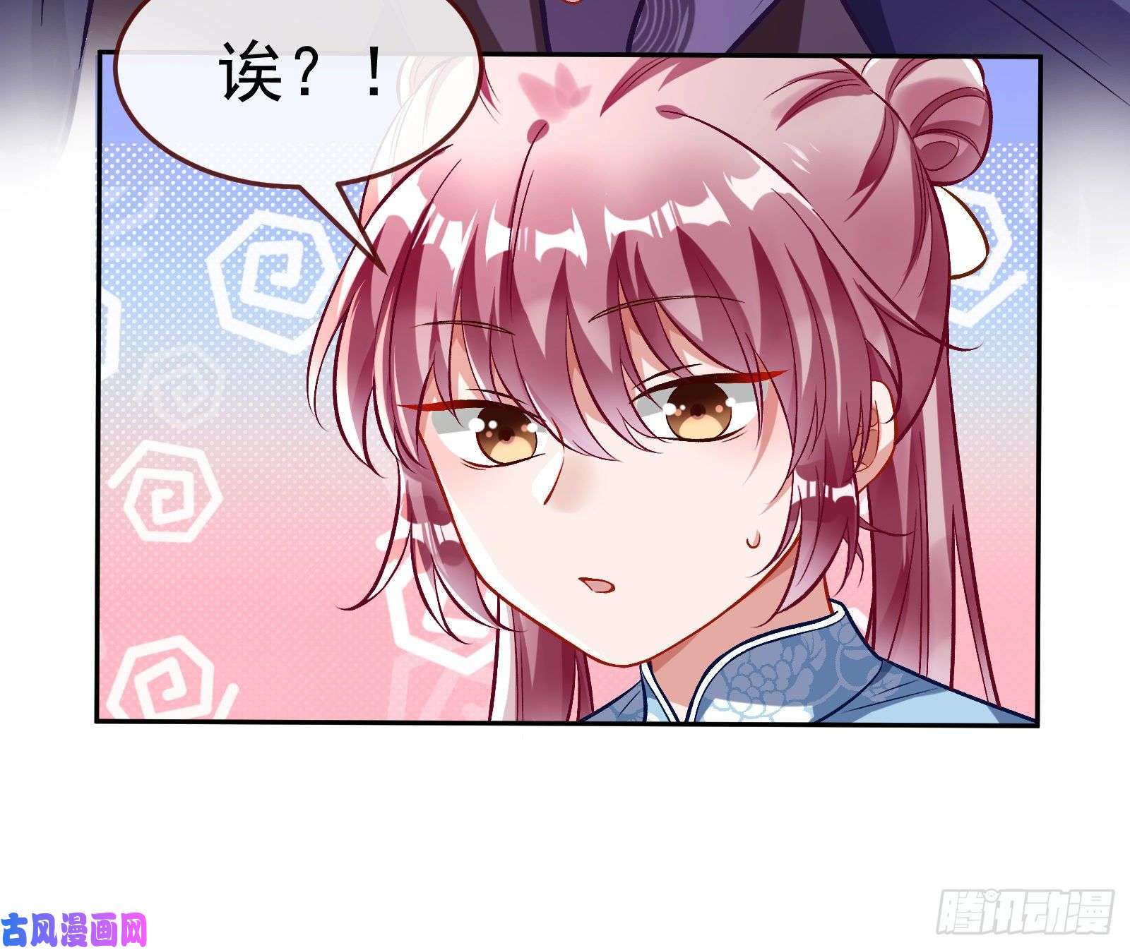 万渣朝凰生日宴会